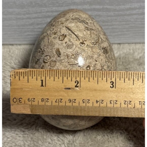 Polished Fossilized Stone Egg With Intricate Natural Patterns Beige Brown 4" - Picture 7 of 7